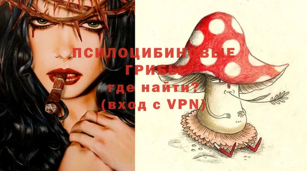 ГАЛЛЮЦИНОГЕННЫЕ ГРИБЫ Алексеевка